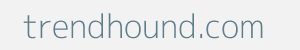 Image of trendhound.com