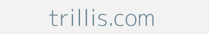 trillis.com Image of trillis.com