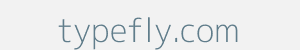 Image of typefly.com