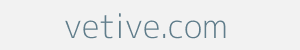 Image of vetive.com