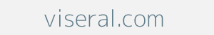 viseral.com Image of viseral.com