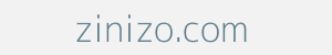 Image of zinizo.com